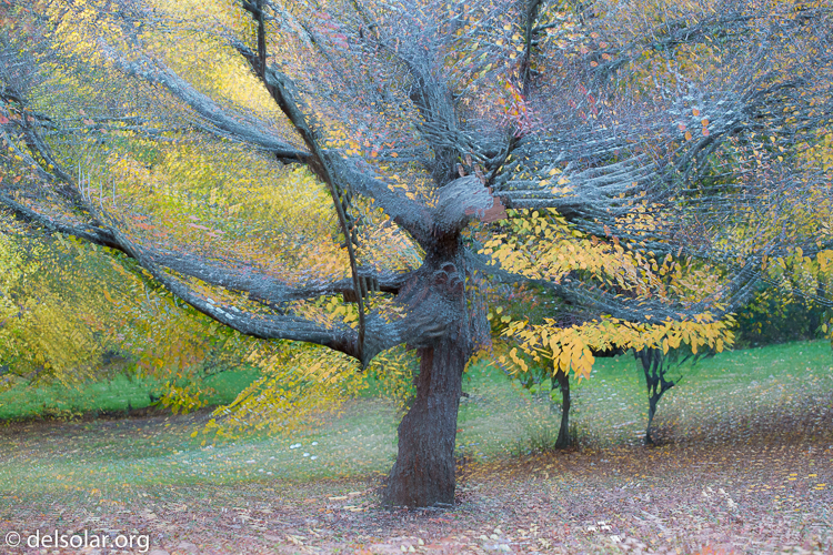 Canon EOS 5D Mark III  --  87 mm  --  EF70-200mm f/4L USM  