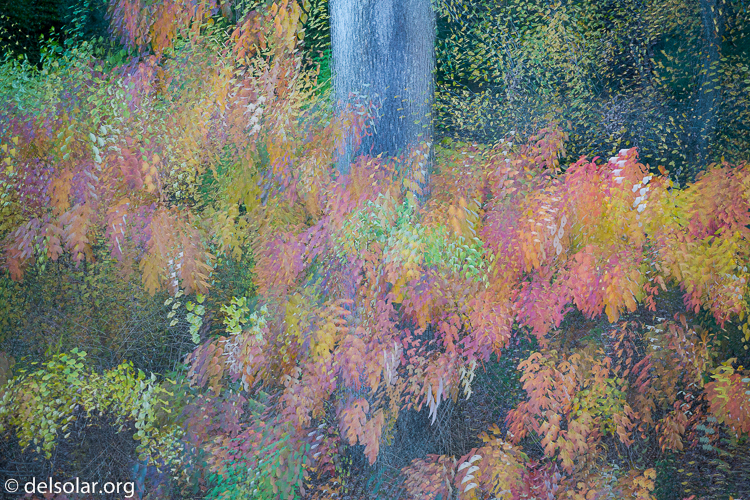 Canon EOS 5D Mark III  --  149 mm  --  EF70-200mm f/4L USM  