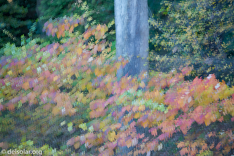 Canon EOS 5D Mark III  --  159 mm  --  EF70-200mm f/4L USM  