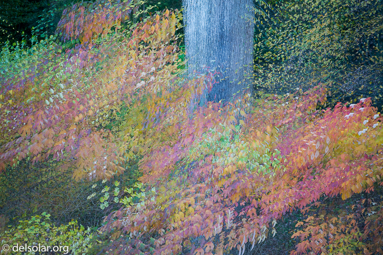 Canon EOS 5D Mark III  --  168 mm  --  EF70-200mm f/4L USM  