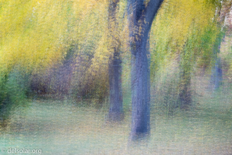 Canon EOS 5D Mark III  --  154 mm  --  EF70-200mm f/4L USM  