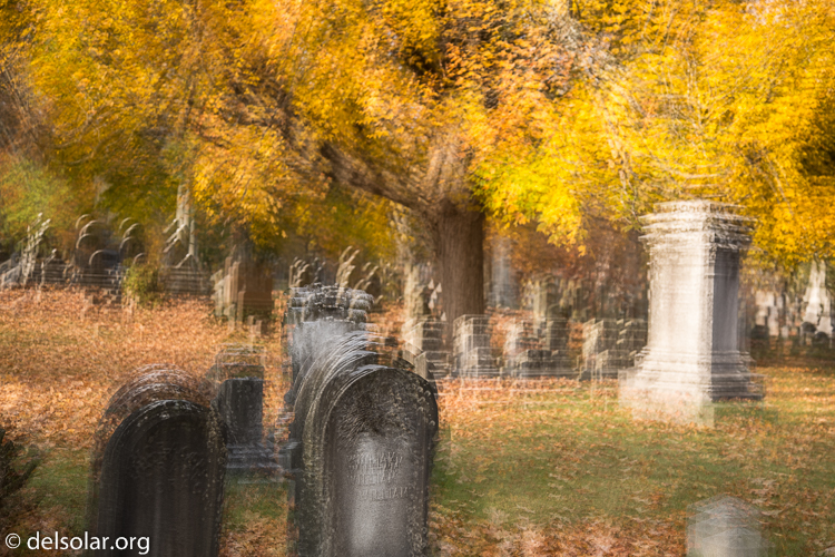 Canon EOS 5D Mark III  --  58 mm  --  EF24-105mm f/4L IS USM  