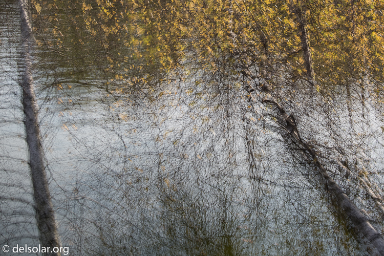 Canon EOS 5D Mark III  --  40 mm  --  EF24-105mm f/4L IS USM  