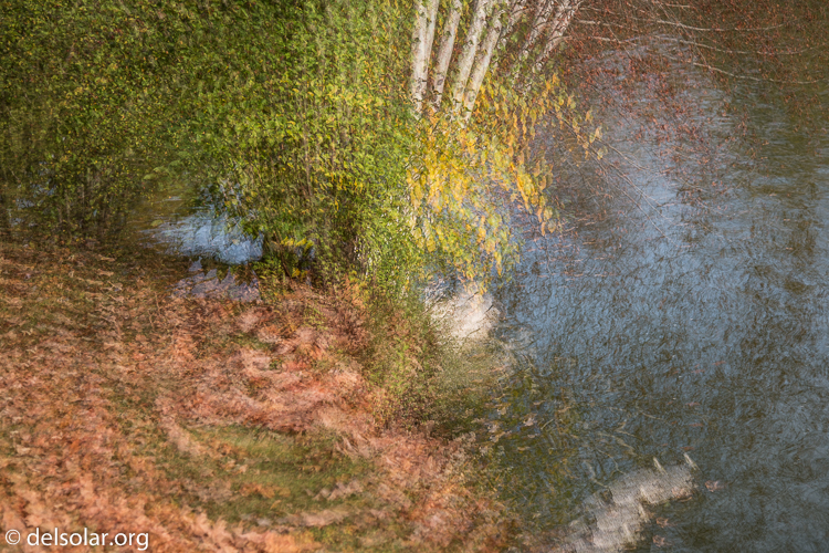 Canon EOS 5D Mark III  --  65 mm  --  EF24-105mm f/4L IS USM  