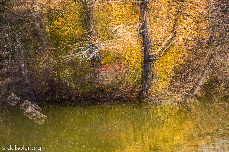 Canon EOS 5D Mark III  --  90 mm  --  EF24-105mm f/4L IS USM  