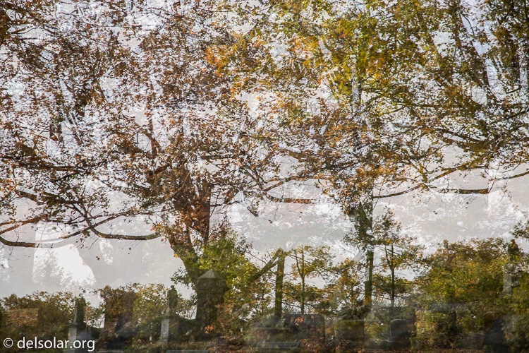 Canon EOS 5D Mark III  --  105 mm  --  EF24-105mm f/4L IS USM  