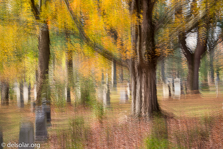 Canon EOS 5D Mark III  --  58 mm  --  EF24-105mm f/4L IS USM  