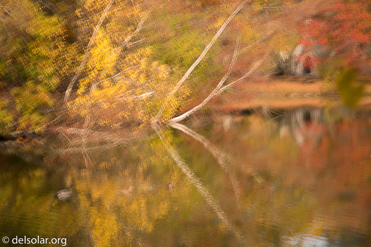 Canon EOS 5D Mark III  --  105 mm  --  EF24-105mm f/4L IS USM  