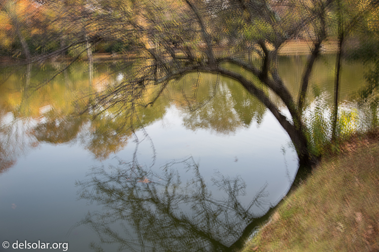 Canon EOS 5D Mark III  --  35 mm  --  EF24-105mm f/4L IS USM  