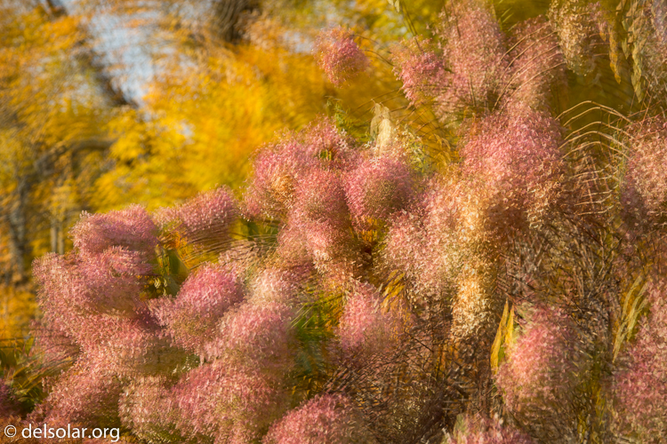 Canon EOS 5D Mark III  --  70 mm  --  EF24-105mm f/4L IS USM  