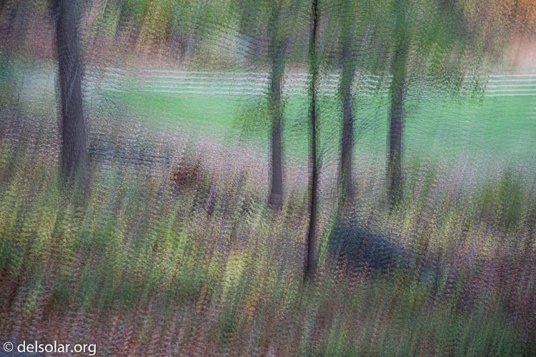 Canon EOS 5D Mark III  --  105 mm  --  EF24-105mm f/4L IS USM  