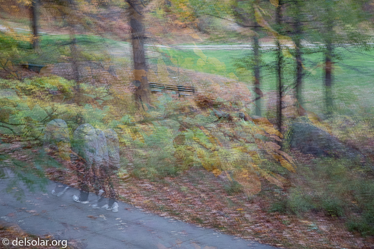 Canon EOS 5D Mark III  --  105 mm  --  EF24-105mm f/4L IS USM  