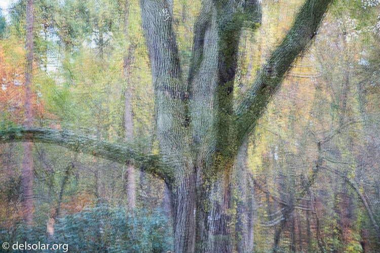 Canon EOS 5D Mark III  --  105 mm  --  EF24-105mm f/4L IS USM  