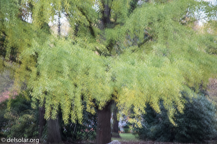 Canon EOS 5D Mark III  --  105 mm  --  EF24-105mm f/4L IS USM  