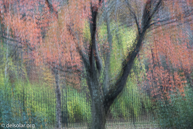 Canon EOS 5D Mark III  --  98 mm  --  EF24-105mm f/4L IS USM  