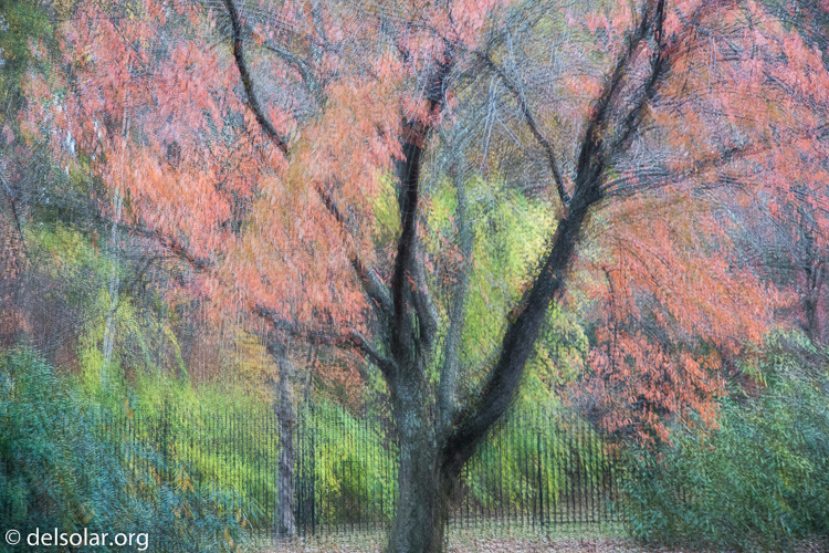 Canon EOS 5D Mark III  --  85 mm  --  EF24-105mm f/4L IS USM  