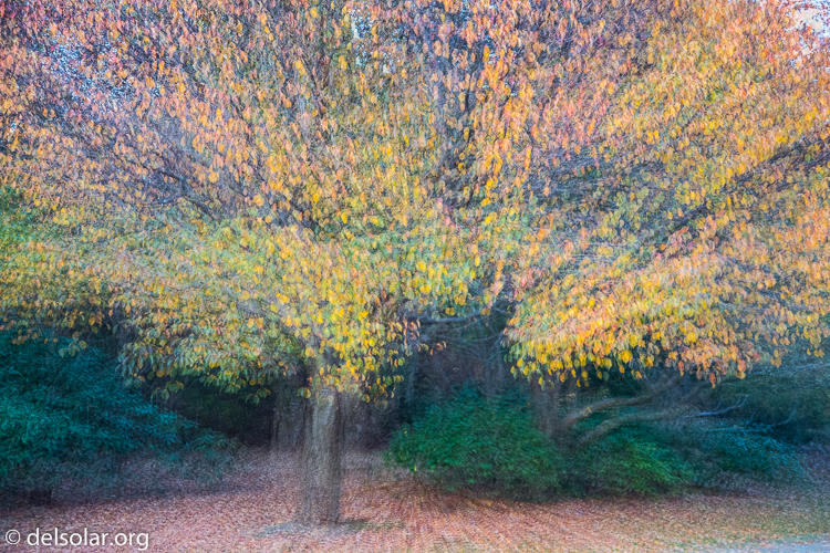 Canon EOS 5D Mark III  --  58 mm  --  EF24-105mm f/4L IS USM  