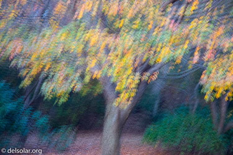 Canon EOS 5D Mark III  --  93 mm  --  EF24-105mm f/4L IS USM  