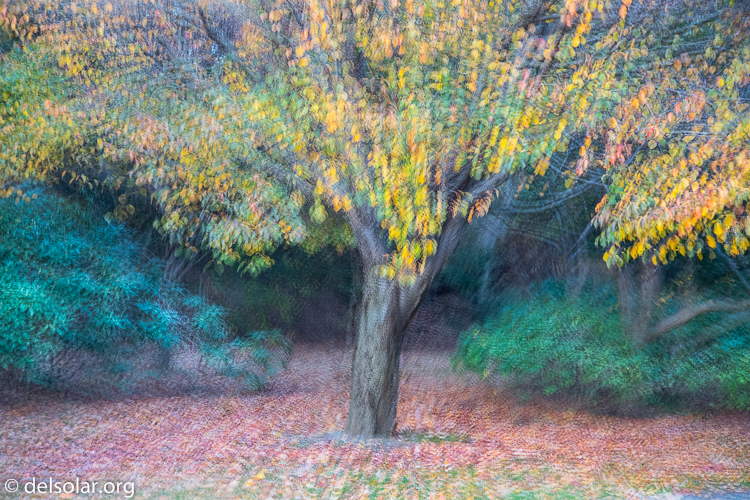 Canon EOS 5D Mark III  --  70 mm  --  EF24-105mm f/4L IS USM  