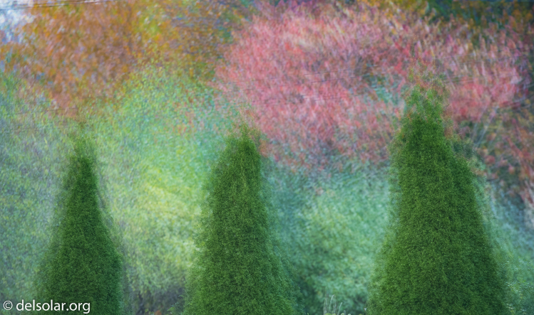 Canon EOS 5D Mark III  --  200 mm  --  EF70-200mm f/4L USM  