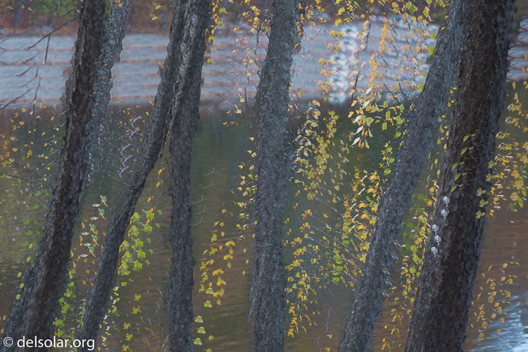 Canon EOS 5D Mark III  --  140 mm  --  EF70-200mm f/4L USM  