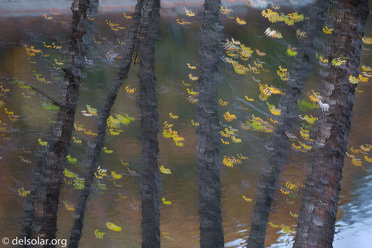 Canon EOS 5D Mark III  --  163 mm  --  EF70-200mm f/4L USM  