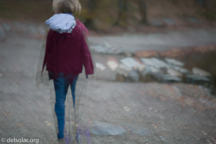 Canon EOS 5D Mark III  --  188 mm  --  EF70-200mm f/4L USM  