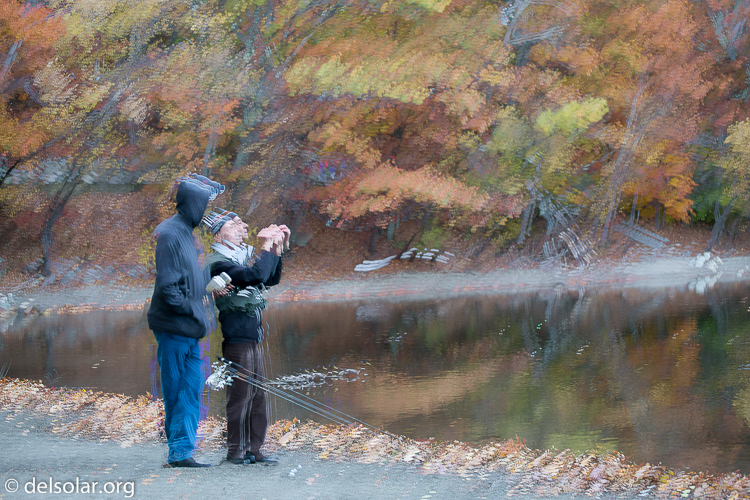 Canon EOS 5D Mark III  --  78 mm  --  EF70-200mm f/4L USM  