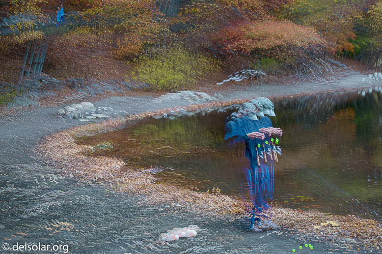 Canon EOS 5D Mark III  --  70 mm  --  EF70-200mm f/4L USM  