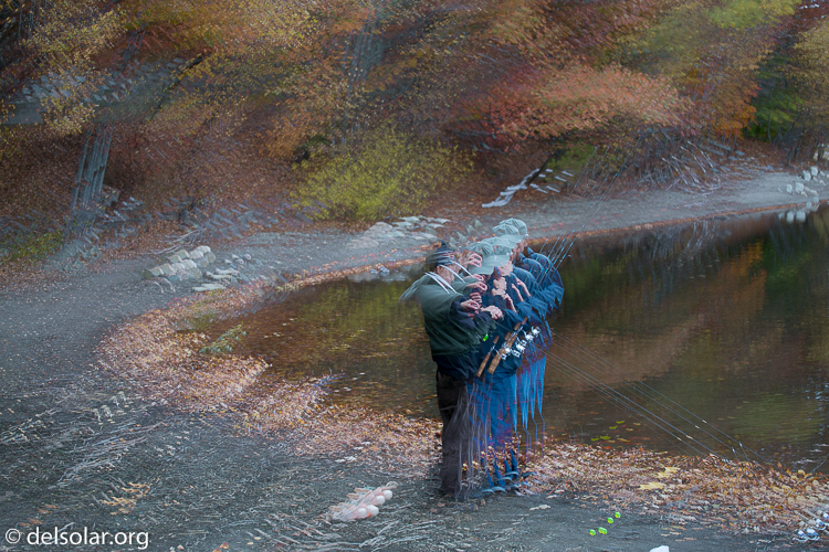 Canon EOS 5D Mark III  --  73 mm  --  EF70-200mm f/4L USM  