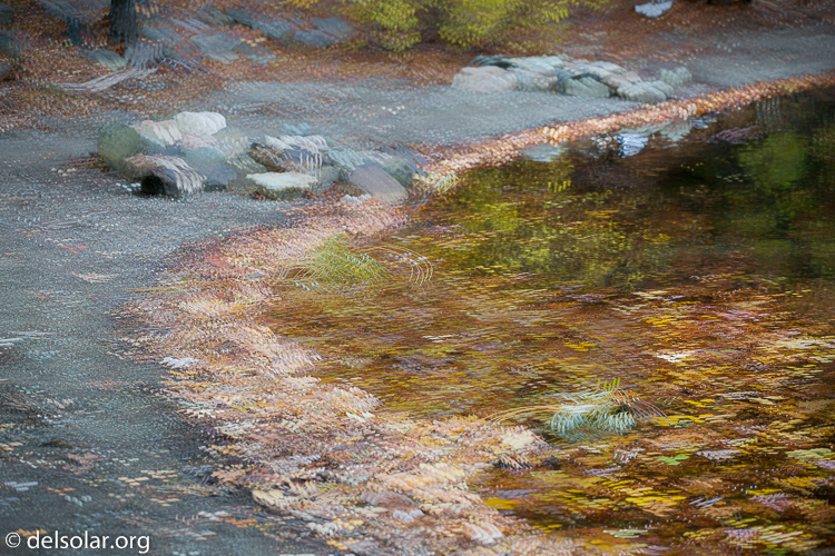 Canon EOS 5D Mark III  --  109 mm  --  EF70-200mm f/4L USM  