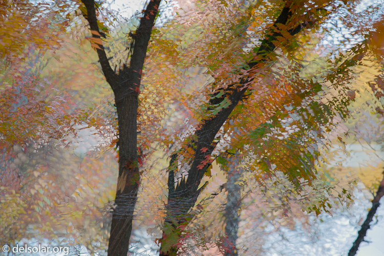 Canon EOS 5D Mark III  --  200 mm  --  EF70-200mm f/4L USM  