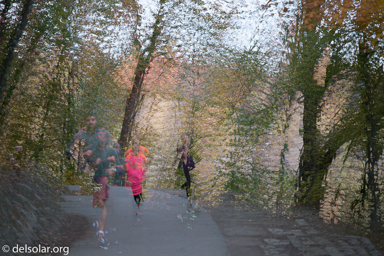 Canon EOS 5D Mark III  --  200 mm  --  EF70-200mm f/4L USM  