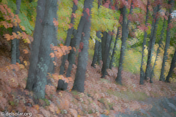 Canon EOS 5D Mark III  --  145 mm  --  EF70-200mm f/4L USM  