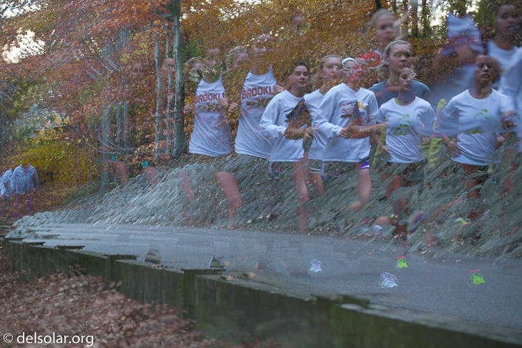 Canon EOS 5D Mark III  --  100 mm  --  EF70-200mm f/4L USM  