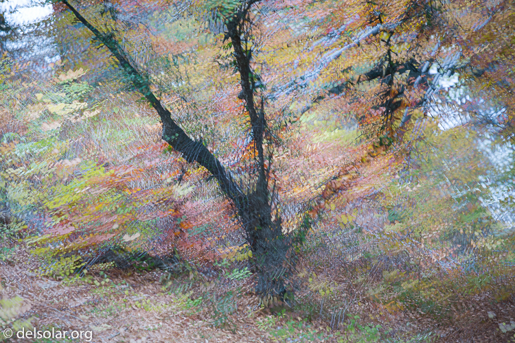 Canon EOS 5D Mark III  --  168 mm  --  EF70-200mm f/4L USM  