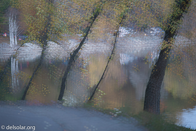 Canon EOS 5D Mark III  --  200 mm  --  EF70-200mm f/4L USM  