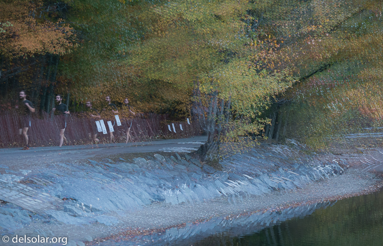 Canon EOS 5D Mark III  --  118 mm  --  EF70-200mm f/4L USM  