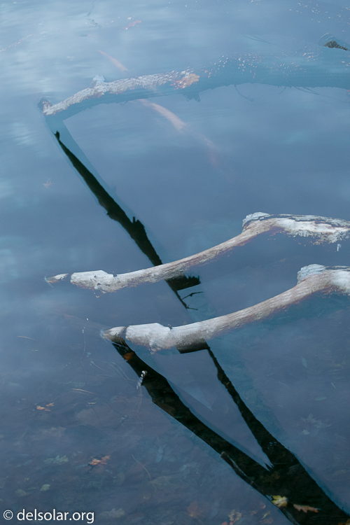 Canon EOS 5D Mark III  --  78 mm  --  EF70-200mm f/4L USM  