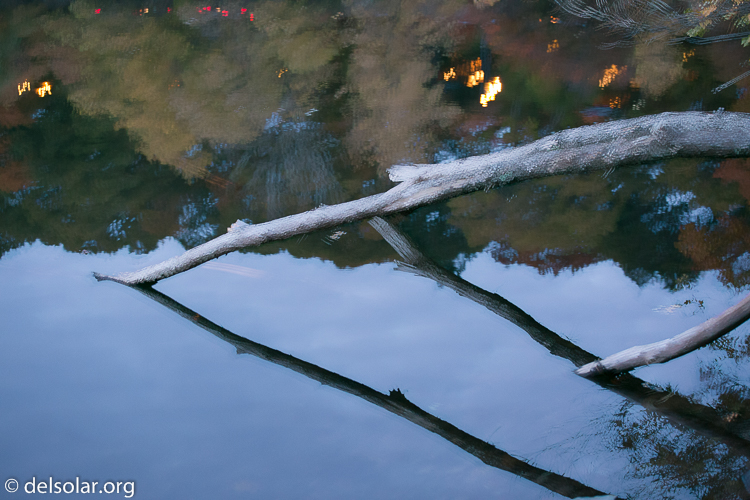 Canon EOS 5D Mark III  --  78 mm  --  EF70-200mm f/4L USM  