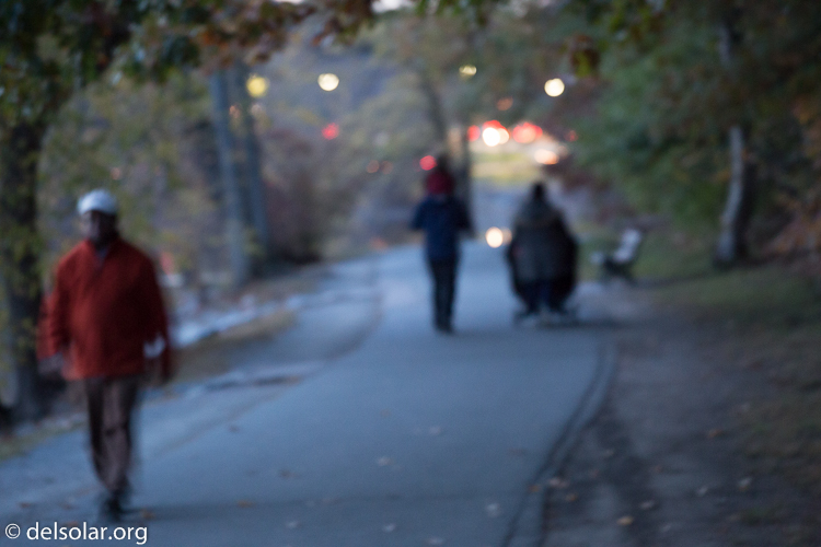 Canon EOS 5D Mark III  --  149 mm  --  EF70-200mm f/4L USM  