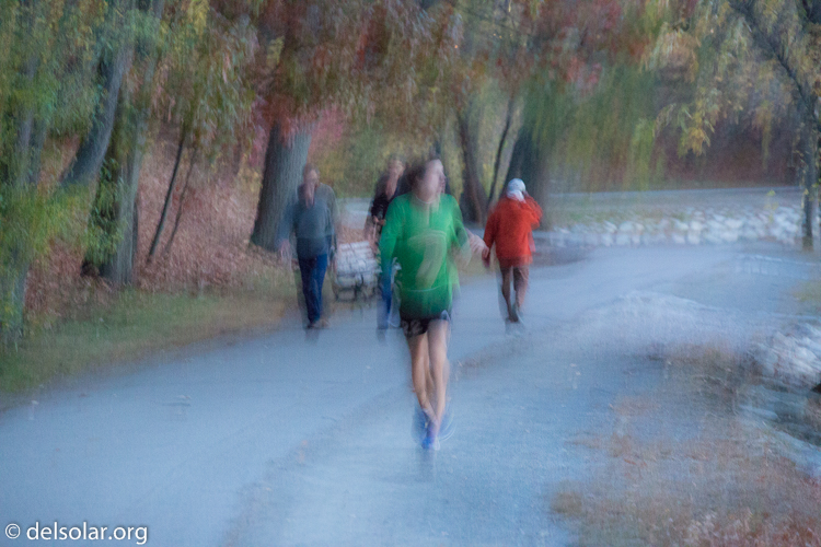 Canon EOS 5D Mark III  --  168 mm  --  EF70-200mm f/4L USM  