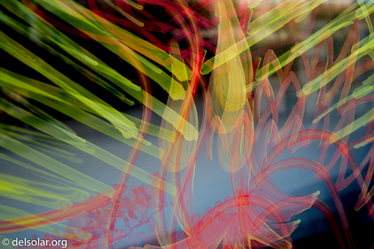 Canon EOS 5D Mark III  --  40 mm  --  EF40mm f/2.8 STM  