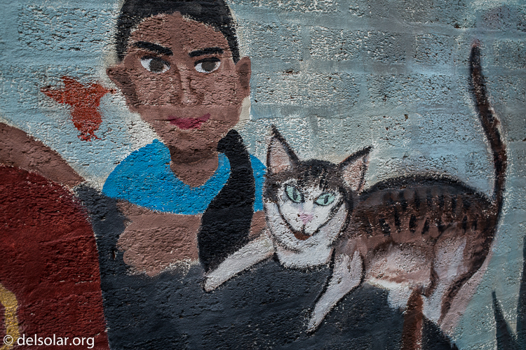 Canon EOS 5D Mark III  --  40 mm  --  EF40mm f/2.8 STM  