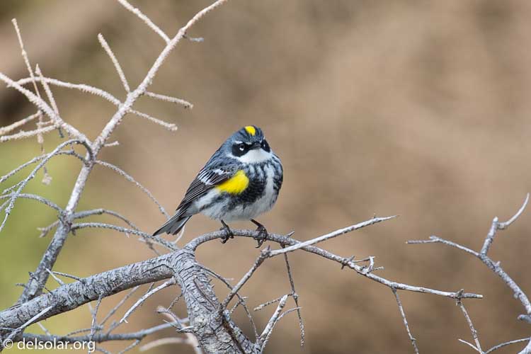 Canon EOS 5D Mark III  --  400 mm  --  EF100-400mm f/4.5-5.6L IS II USM  