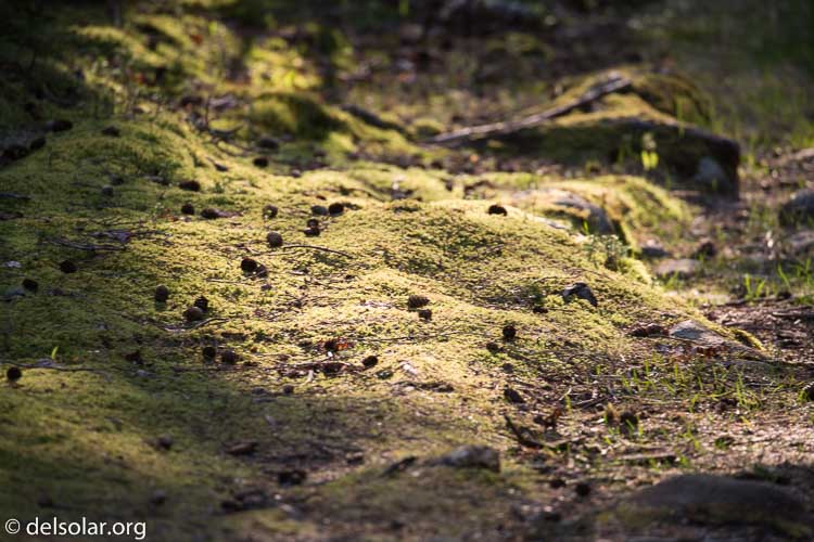 Canon EOS 5D Mark III  --  400 mm  --  EF100-400mm f/4.5-5.6L IS II USM  