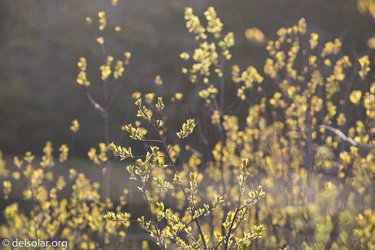 Canon EOS 5D Mark III  --  214 mm  --  EF100-400mm f/4.5-5.6L IS II USM  