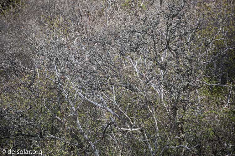 Canon EOS 5D Mark III  --  400 mm  --  EF100-400mm f/4.5-5.6L IS II USM  