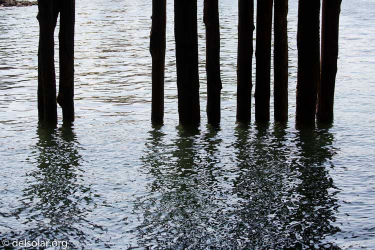 Canon EOS 5D Mark III  --  100 mm  --  EF100-400mm f/4.5-5.6L IS II USM  