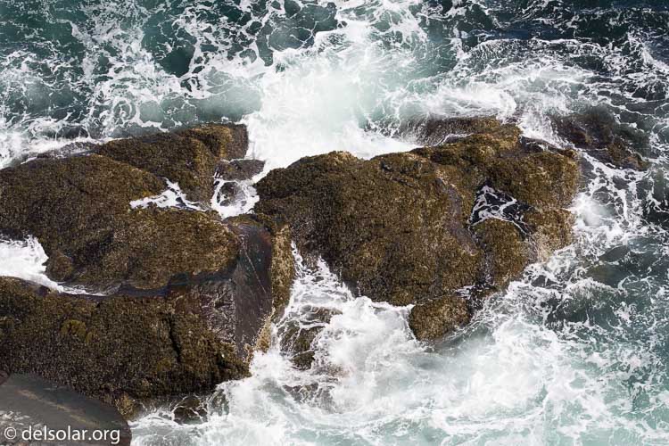 Canon EOS 5D Mark III  --  170 mm  --  EF100-400mm f/4.5-5.6L IS II USM  